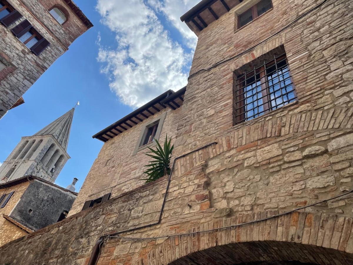 Numero 6 Todi Exterior foto